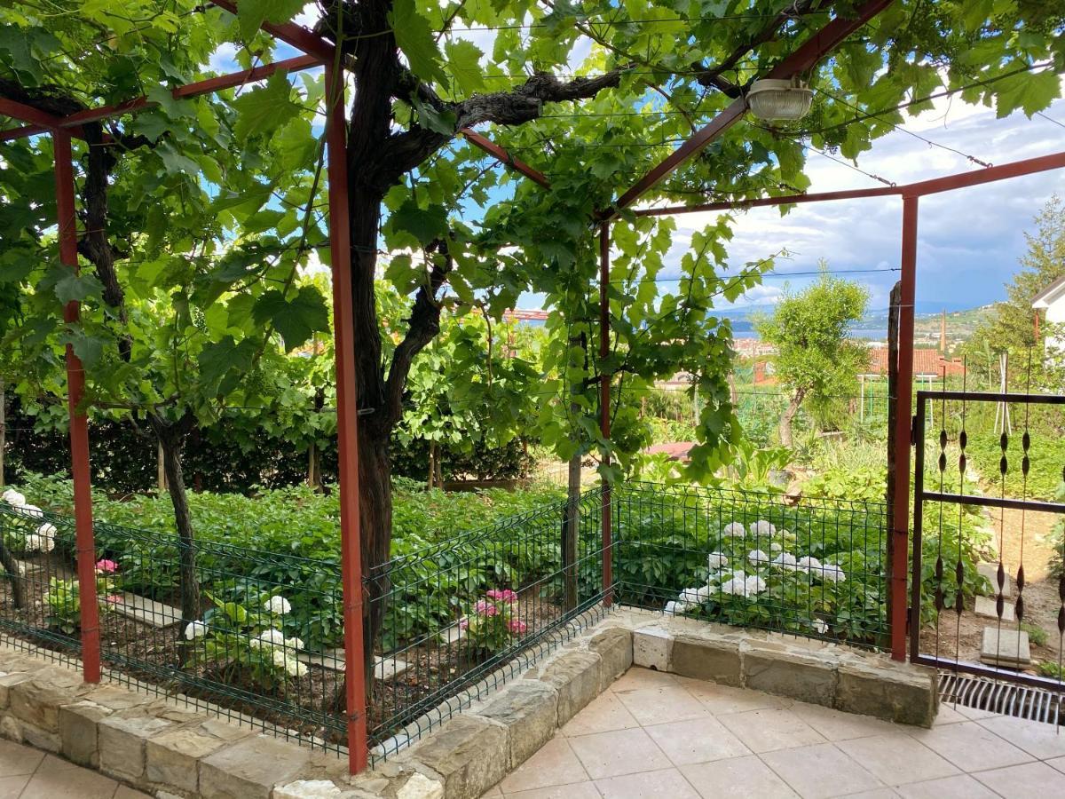 Apartment Gregoric Izola Exterior photo