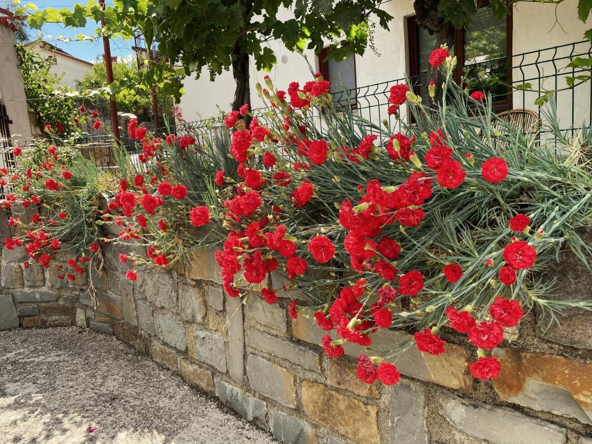 Apartment Gregoric Izola Exterior photo
